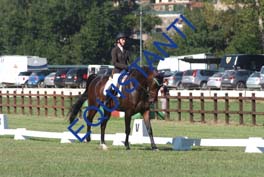 DSCF0487
