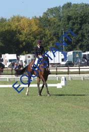 DSCF0497