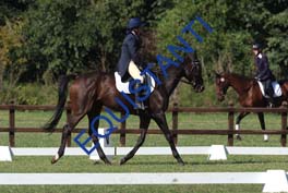 DSCF0937