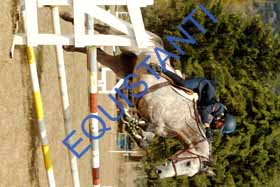 DSCF8985