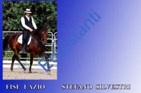 028 STEFANO SILVERI