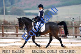 336 MARIA SOLE GIRARDI