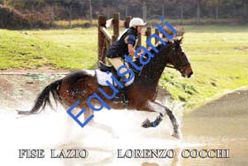 463 LORENZO COCCHI