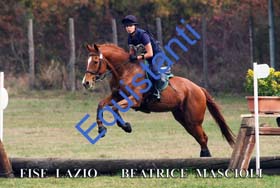 470 BEATRICE MASCIOLI